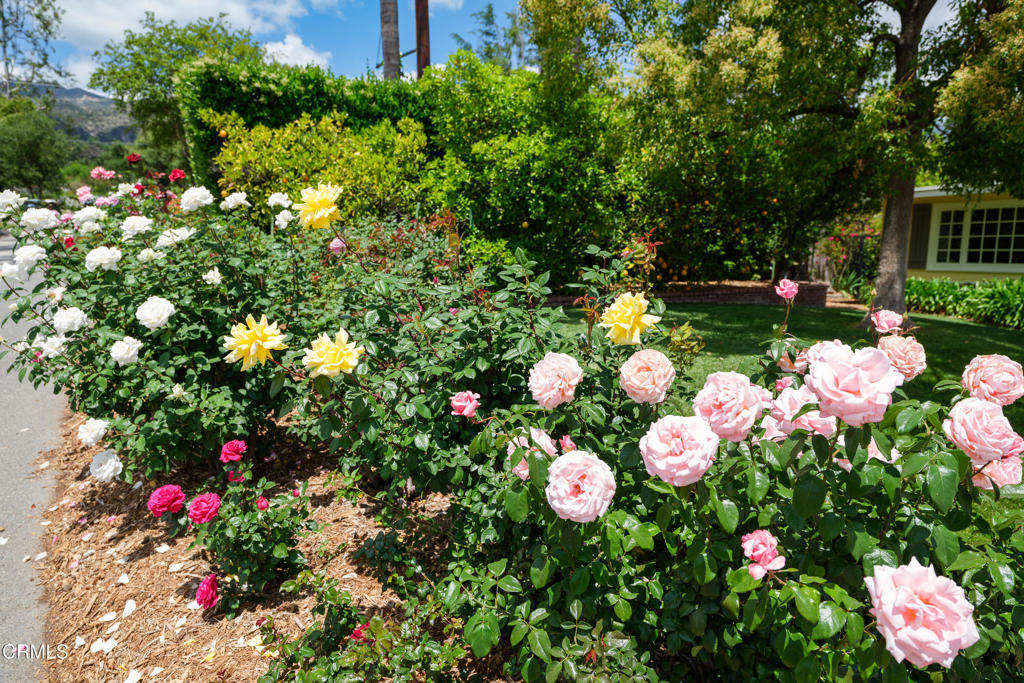 375 Berkshire Avenue La Canada Flintridge img 8