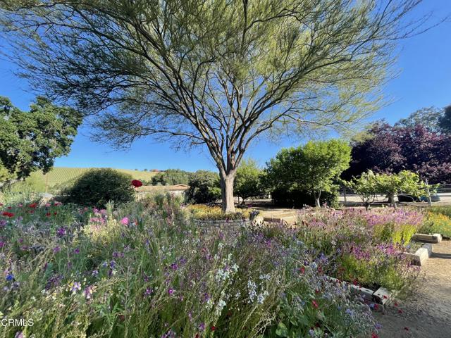 Detail Gallery Image 55 of 60 For 159 Burnham Rd, Oak View,  CA 93022 - 3 Beds | 2 Baths