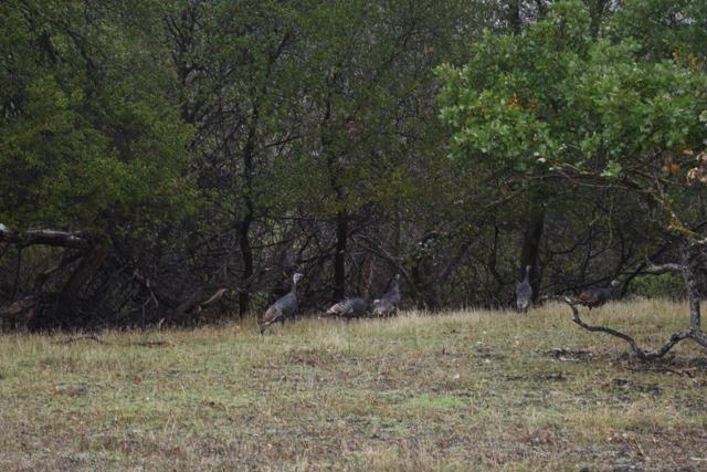 Image 10 of 23 For 1700 Finley Road