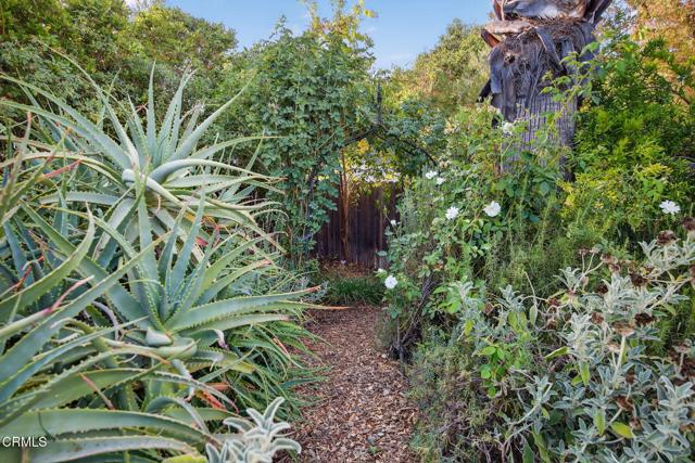 1454 S La Luna Avenue, Ojai CA: https://media.crmls.org/mediaz/1a885ec2-3f9a-4796-92de-b6b2815b0bcf.jpg