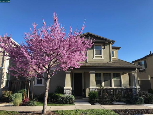 330 Pacifica Dr, Brentwood CA: https://media.crmls.org/mediaz/1a8ae57b-a24d-4a0f-bb88-981df6320fab.jpg