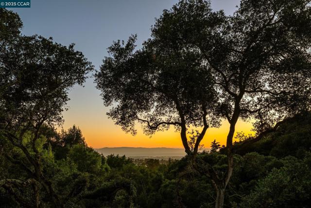 3981 Amyx Ct, Hayward CA: https://media.crmls.org/mediaz/1a8db70c-6048-47fb-8373-1d426fbde286.jpg