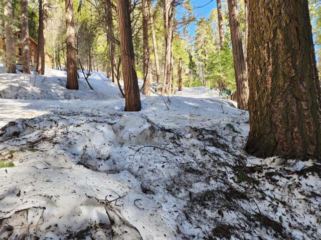 710 Blue Jay Canyon Road, Lake Arrowhead CA: https://media.crmls.org/mediaz/1a940d24-f355-49b3-b0c0-f1f068ac8cad.jpg