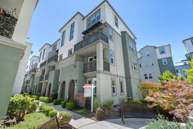 1452 Lavender Loop, Milpitas CA: https://media.crmls.org/mediaz/1a9ad243-37c2-4991-b9d4-5f3765eb2430.jpg