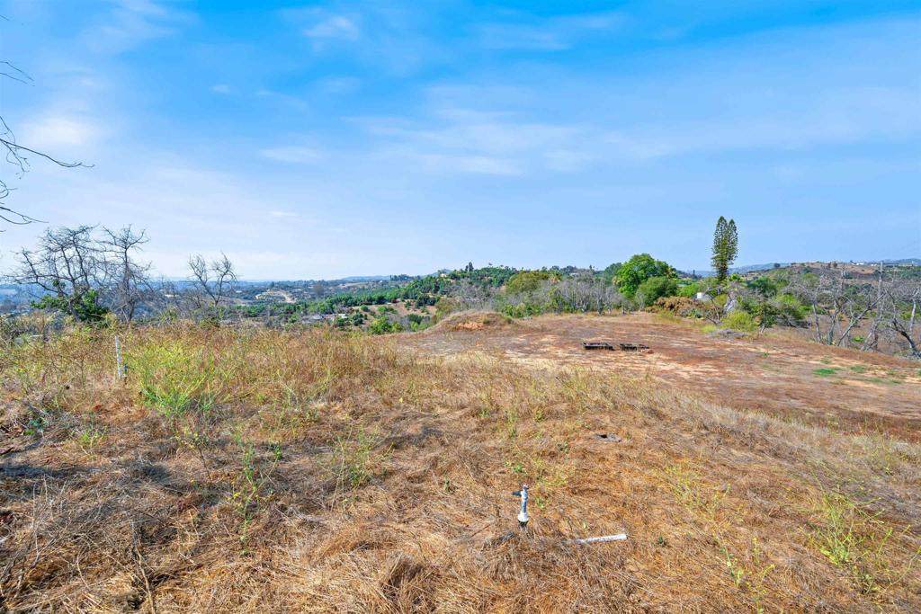 MLS #250035944SD img 20