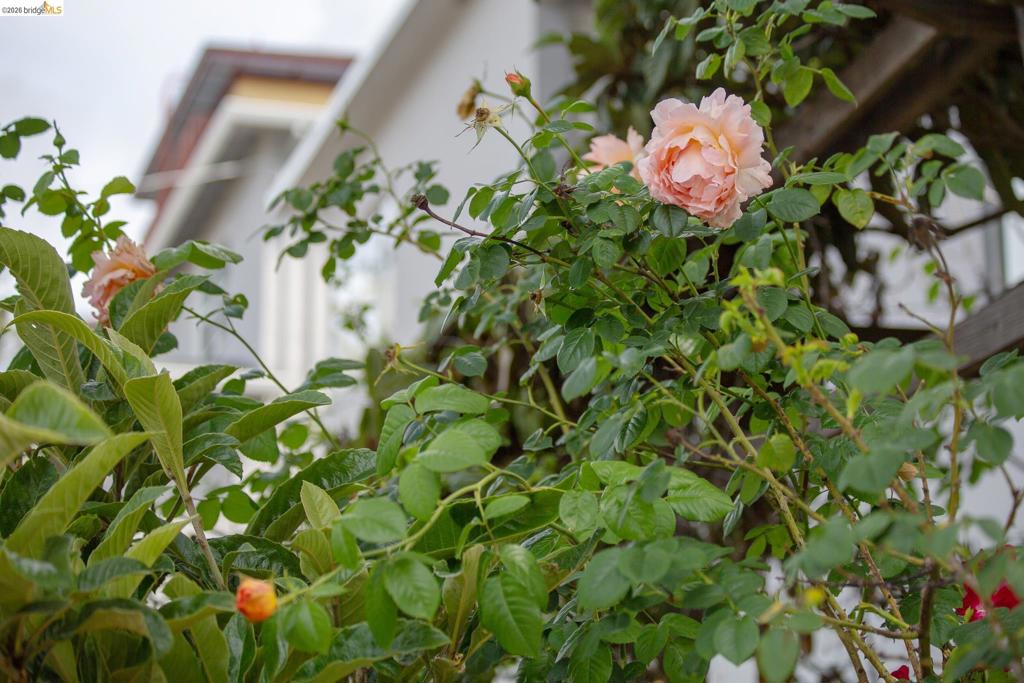 https://media.crmls.org/mediaz/1ab26449-9327-4857-b649-e831d0898ef3.jpg?preset=X-Large