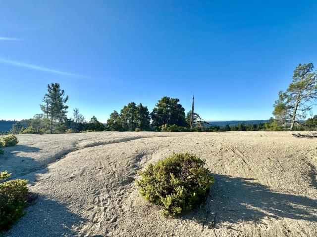 10001 West Drive, Felton CA: https://media.crmls.org/mediaz/1ab983c4-7e3f-4d0e-9a3c-1ac8097de21b.jpg