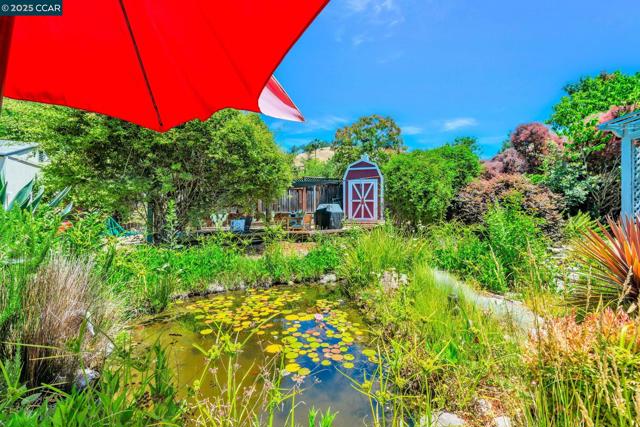 49 Terra Bella Dr, Walnut Creek CA: https://media.crmls.org/mediaz/1abcae0c-4827-465c-93c3-f667d1ed11fa.jpg