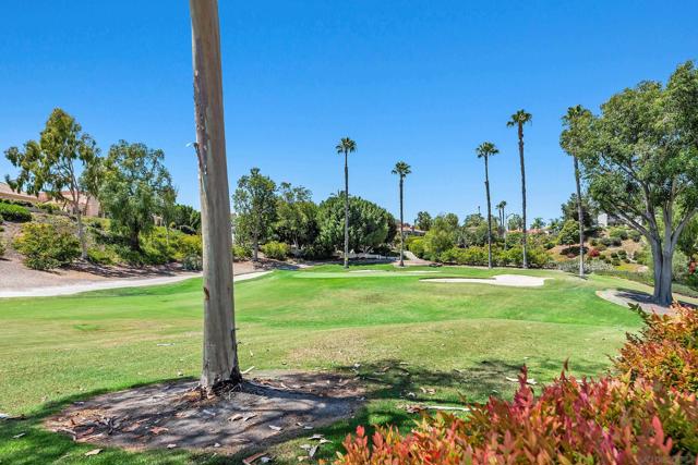 15462 Avenida Rorras, San Diego CA: https://media.crmls.org/mediaz/1abfe217-a2f7-478b-93f2-da73e485f1e4.jpg