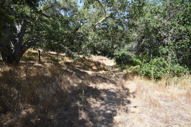 0 Alexander Lane, San Juan Bautista CA: https://media.crmls.org/mediaz/1ac7cf81-d8b6-4769-9022-93f5de9c07fa.jpg