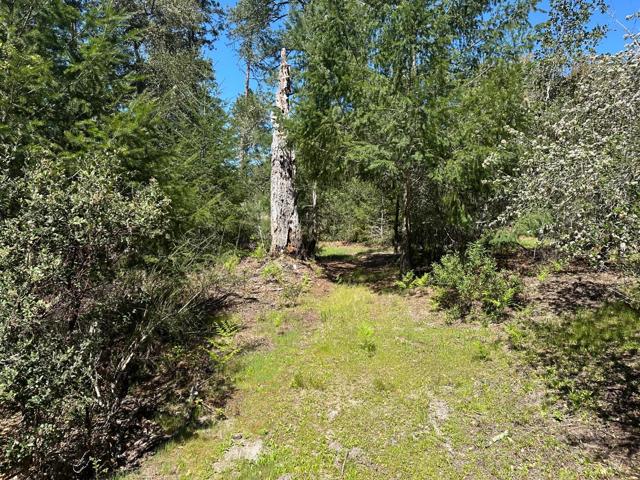 0 Hidden Glen Drive, Scotts Valley CA: https://media.crmls.org/mediaz/1acb9ce2-5030-47be-8a26-cec4a63cc23e.jpg