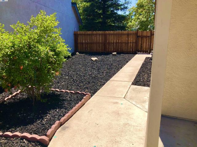 1023 Snowgoose Ln, Manteca CA: https://media.crmls.org/mediaz/1acfc474-acdc-4958-b272-2200797ec977.jpg
