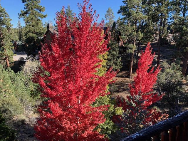385 Sunrise Way, Big Bear, CA 92315
