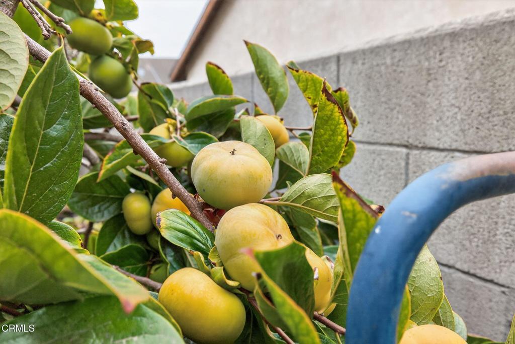 MLS #V1-32610 image #36