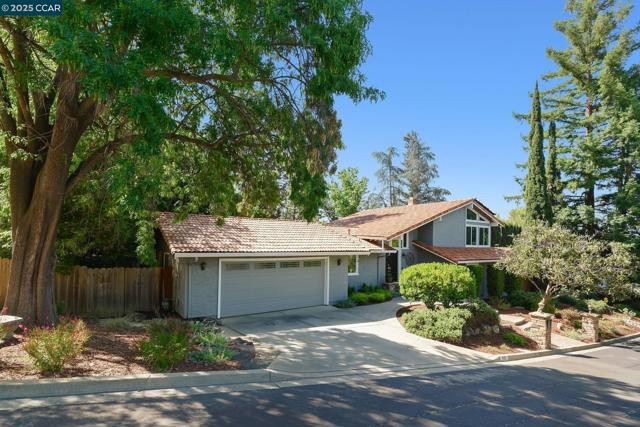 1020 Molad Ct, Concord CA: https://media.crmls.org/mediaz/1af2086d-ecb5-41f2-a0e1-a17ccbf559ad.jpg