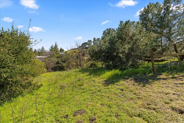 12650 Viscaino Court, Los Altos Hills CA: https://media.crmls.org/mediaz/1af5cb4c-8b27-4926-97ab-df2bd18713da.jpg