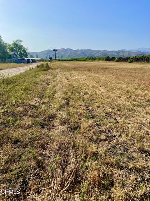 13717 W Telegraph Road, Santa Paula CA: https://media.crmls.org/mediaz/1afa4b77-e5e9-4fcc-9db4-37950aa60bec.jpg