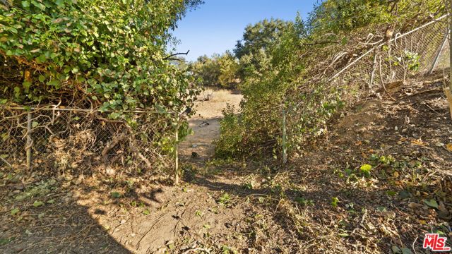 16645 Calneva Drive, Encino CA: https://media.crmls.org/mediaz/1afae19f-65fa-42cf-ae54-6ba35185058b.jpg