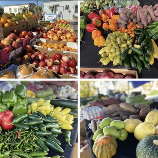 74711 Dillon Rd Spc 1017, Desert Hot Springs CA: https://media.crmls.org/mediaz/1afc19ae-377a-46ea-8f22-ab66ec4ea54c.jpg