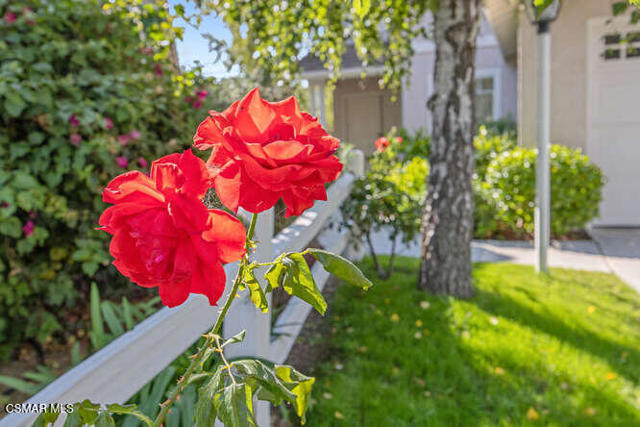 1636 Meadowglen Court, Newbury Park CA: https://media.crmls.org/mediaz/1b030379-0704-4425-925f-223aed8939f8.jpg