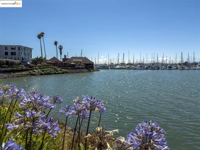 7 Commodore DR, Emeryville CA: https://media.crmls.org/mediaz/1b03d2ce-4063-4967-acfd-8d82921bd65b.jpg