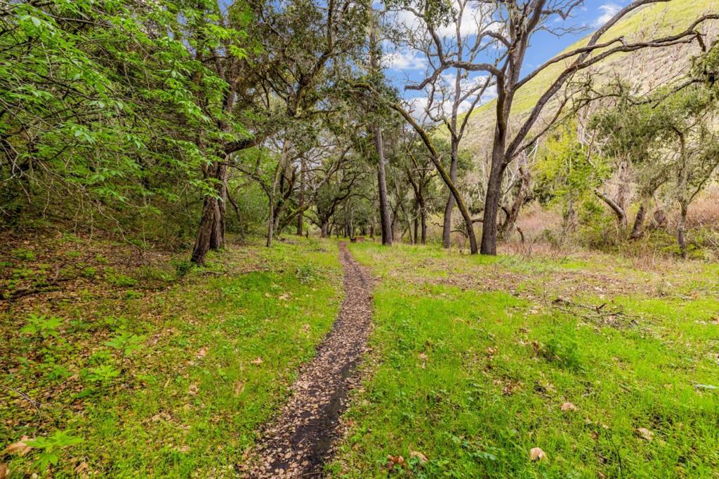 MLS #ML81999097 image #29