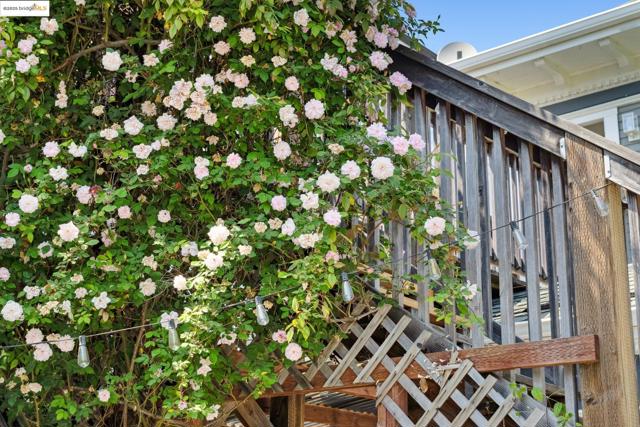 1042 Santa Clara Ave, Alameda CA: https://media.crmls.org/mediaz/1b04a464-6dc6-44cd-ba79-a50e211c19c2.jpg