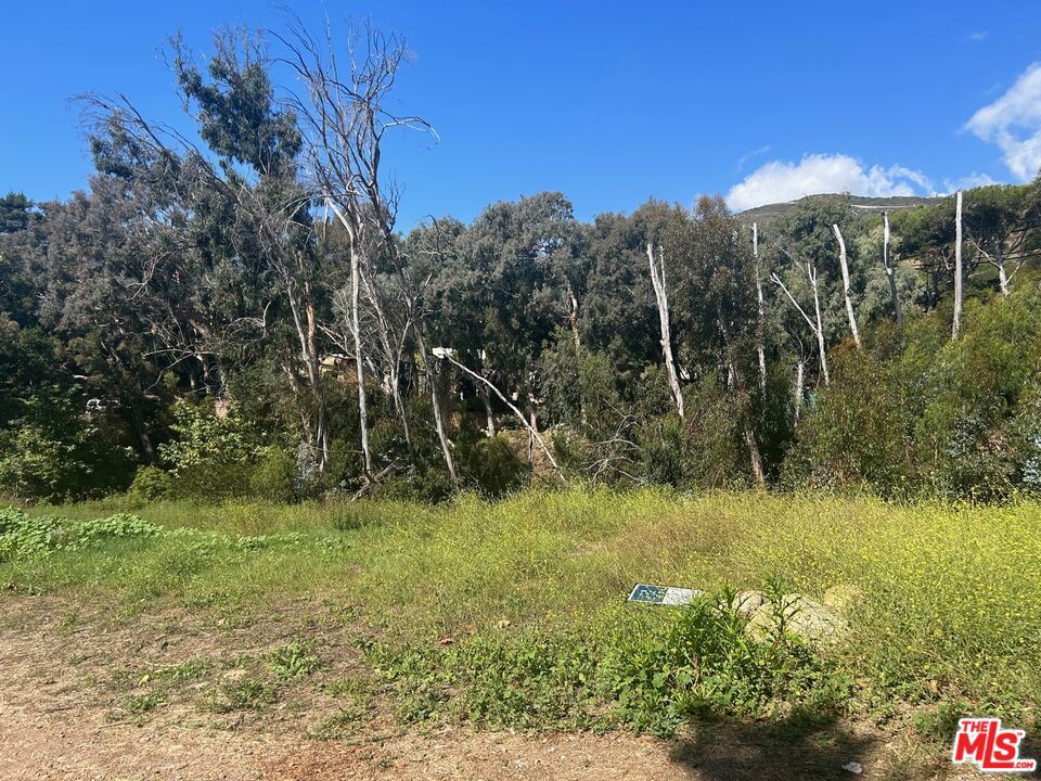 MLS #25515773 img 15