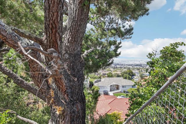 1259 Toyon Drive, Millbrae CA: https://media.crmls.org/mediaz/1b27bb15-6539-4e2f-9910-8b1fef1c5783.jpg