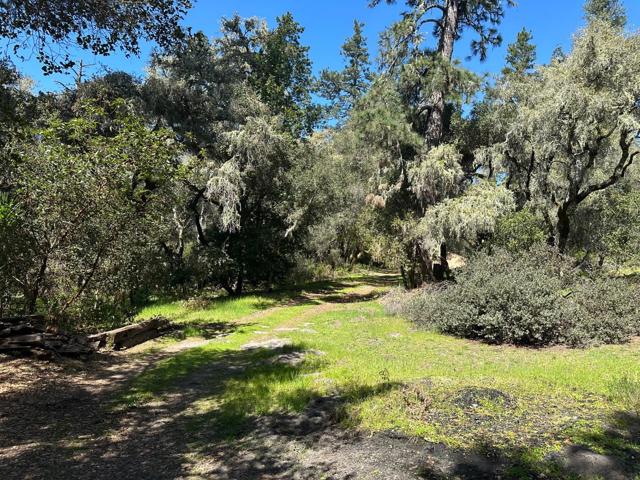 0 Hidden Glen Drive, Scotts Valley CA: https://media.crmls.org/mediaz/1b2bccda-95d6-45be-b3b7-2d520b964eee.jpg