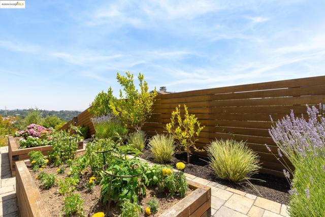 63 Tomcat Way, Orinda CA: https://media.crmls.org/mediaz/1b2c8b76-9fe2-4783-b1b8-2705e6d068c7.jpg