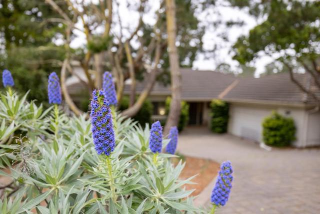 23 Cramden Drive, Monterey CA: https://media.crmls.org/mediaz/1b33d89c-c970-44fc-814f-18cfd45135e8.jpg