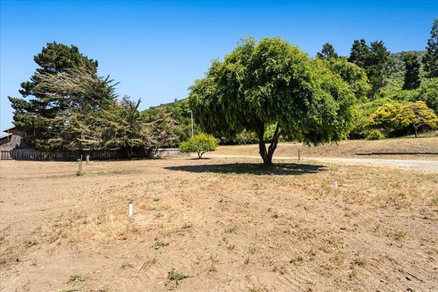 28120 Schulte Road, Carmel CA: https://media.crmls.org/mediaz/1b43e7fe-6047-4f64-ba43-0a3fb19eabb8.jpg