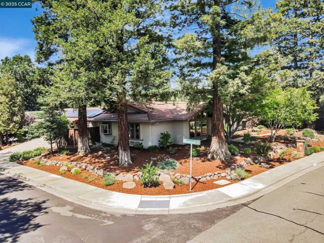 3180 Arbolado Dr, Walnut Creek CA: https://media.crmls.org/mediaz/1b4c1151-933b-421a-9ac7-d8b80a843eb9.jpg