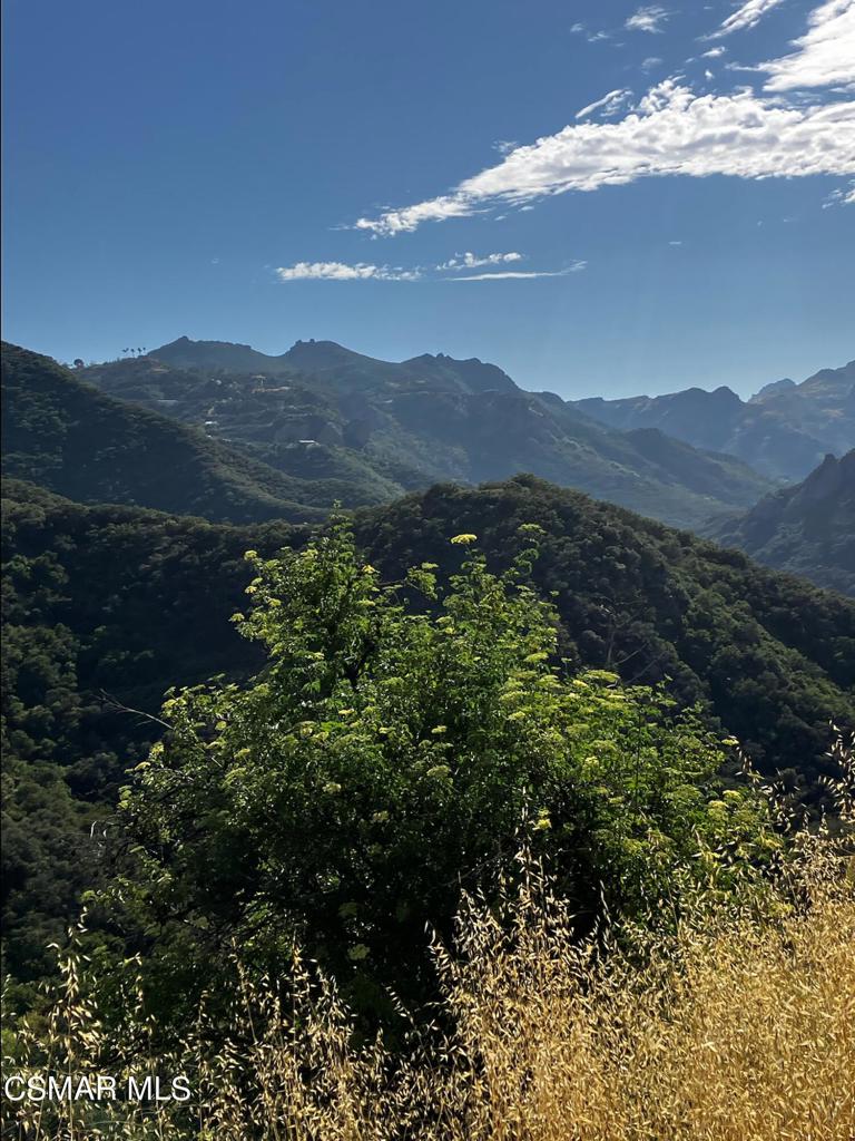 https://media.crmls.org/mediaz/1b4f570a-698a-43d0-bbd0-833b41408d92.jpg?preset=X-Large