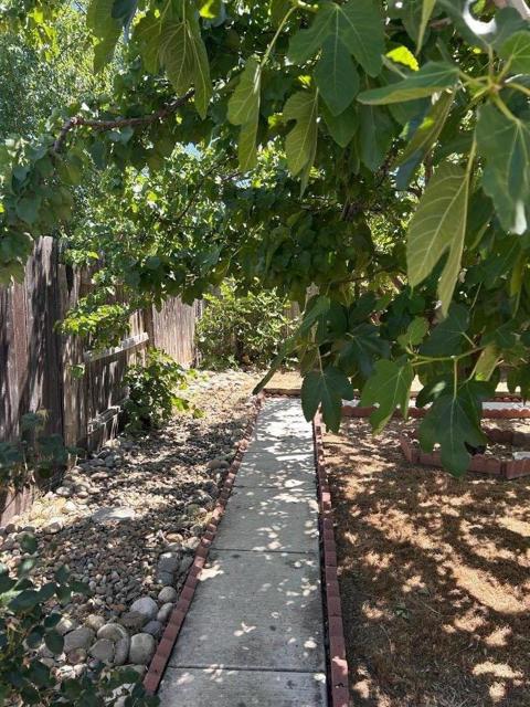 754 Meadowlark Avenue, Los Banos CA: https://media.crmls.org/mediaz/1b55cef7-e9d5-450c-91ae-75ad946cdff9.jpg