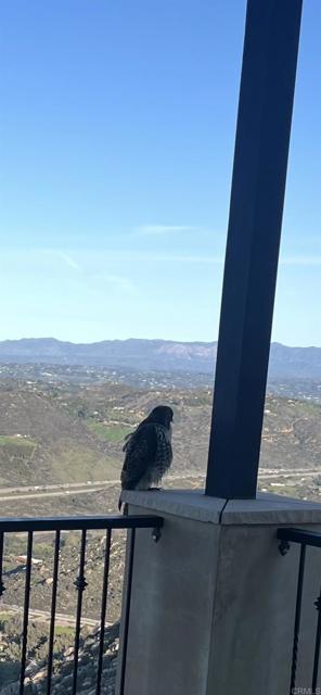 Home for Sale in Escondido