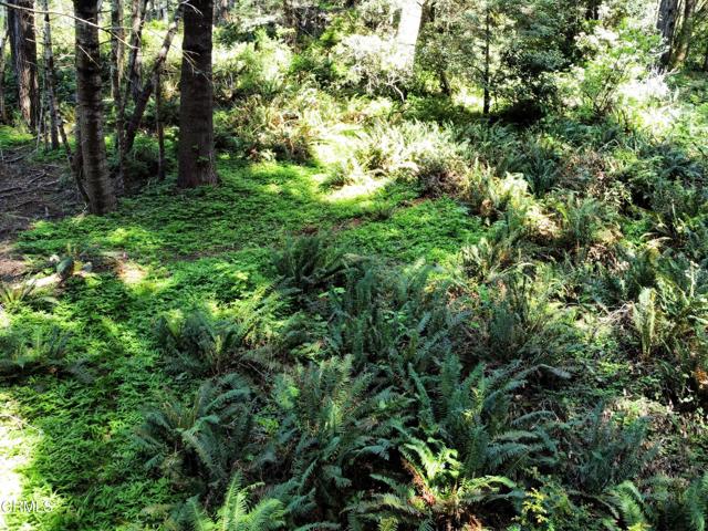 Detail Gallery Image 21 of 23 For 44551 Raven Ln, Mendocino,  CA 95460 - – Beds | – Baths