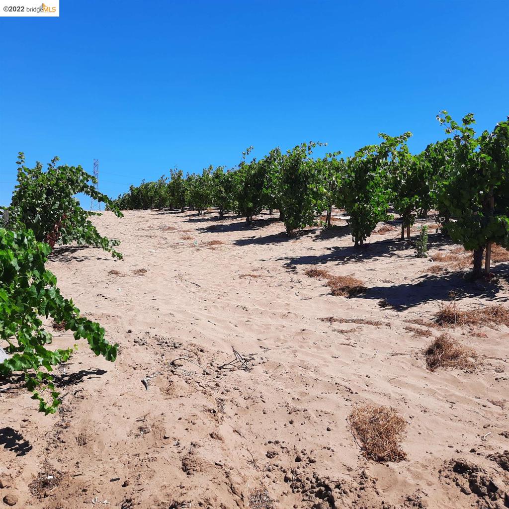 MLS #40999450 image #5