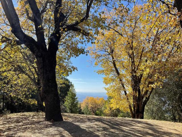 Detail Gallery Image 67 of 75 For 3413 Fern Meadow Rd, Palomar Mountain,  CA 92060 - 3 Beds | 3/1 Baths