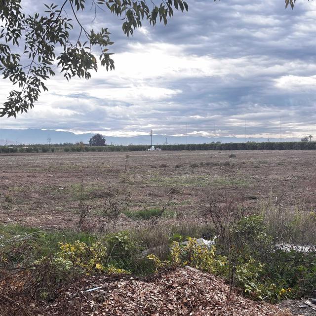 Front Image Thumbnail for CRPTP2508593