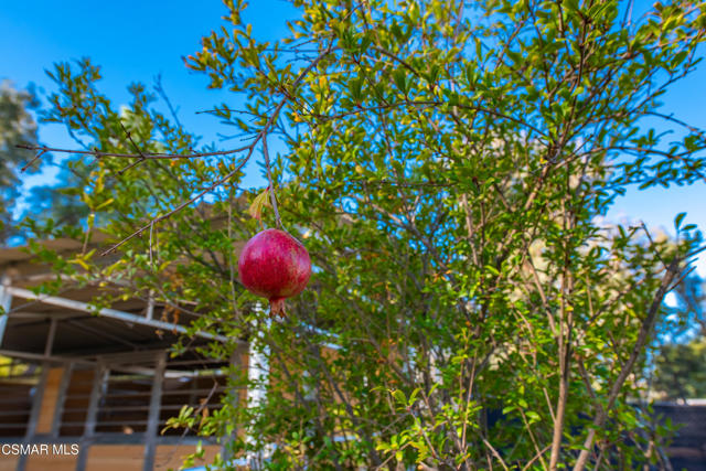 952 Carefree Drive, Simi Valley CA: https://media.crmls.org/mediaz/1b64032f-37b6-4bf7-8b48-36b19ea3ff65.jpg