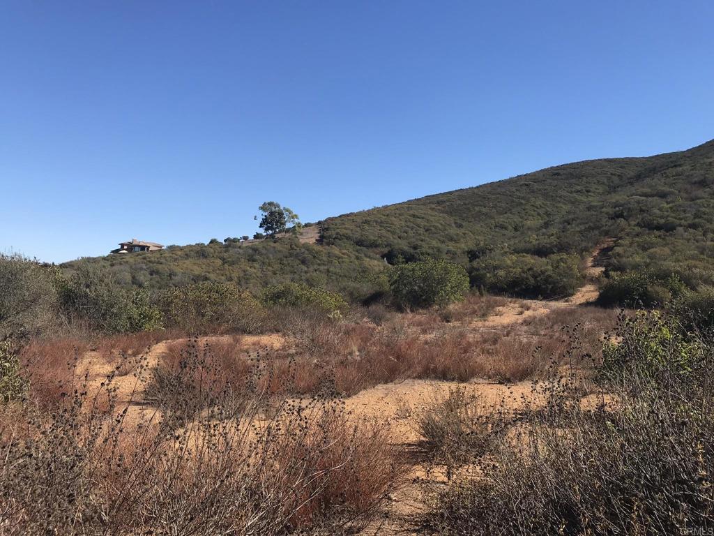 MLS #NDP2508571 image #9