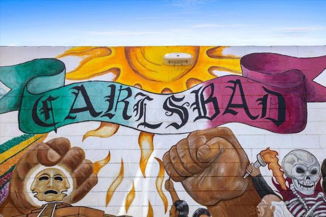 Detail Gallery Image 40 of 46 For 3379 Roosevelt St. St, Carlsbad,  CA 92008 - – Beds | – Baths