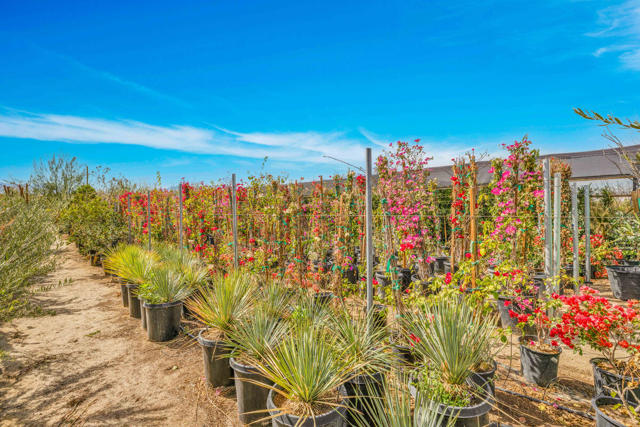 16961 Evans Lane Lane, Desert Hot Springs CA: https://media.crmls.org/mediaz/1b7191b5-79ed-415b-a289-db54269e7649.jpg