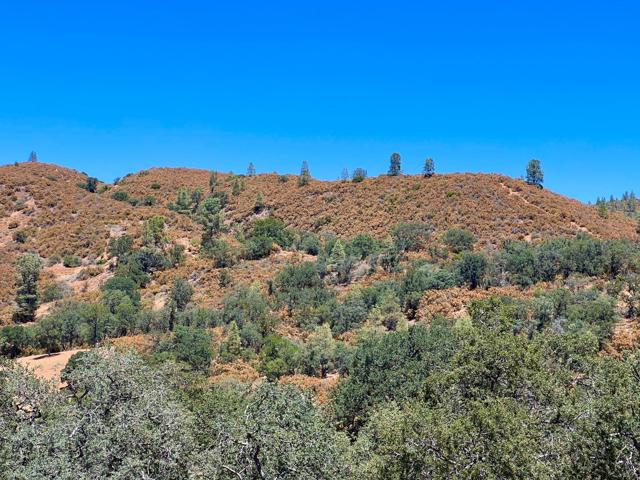 Image 17 of 32 For 20505 Coalinga Road