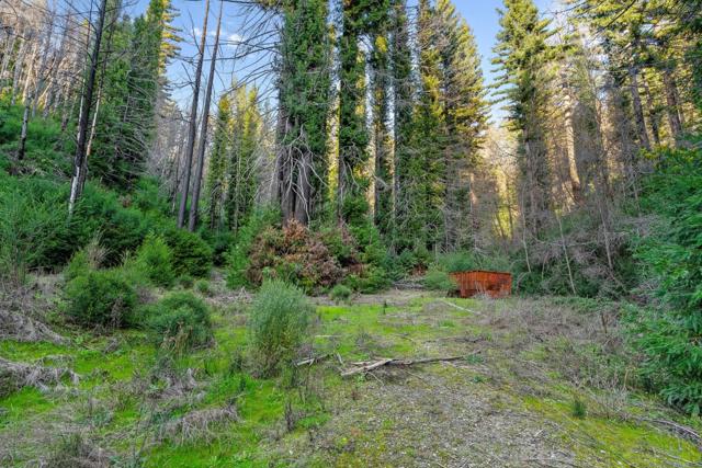 21200 Big Basin Way, Boulder Creek CA: https://media.crmls.org/mediaz/1b897381-a8ca-4f26-a647-9f85ff201a87.jpg