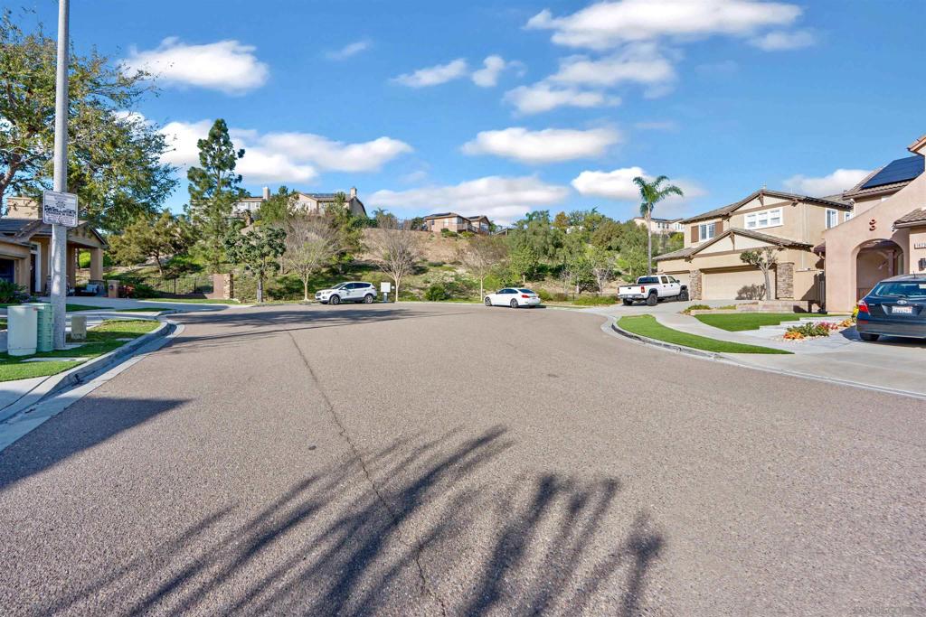 16220 Palomino Mesa Ct - photo 3