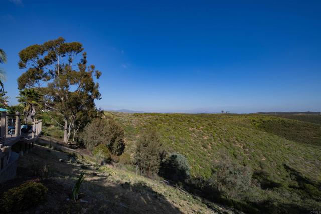 Detail Gallery Image 32 of 63 For 10737 Birch Bluff Ave, San Diego,  CA 92131 - 4 Beds | 3/1 Baths