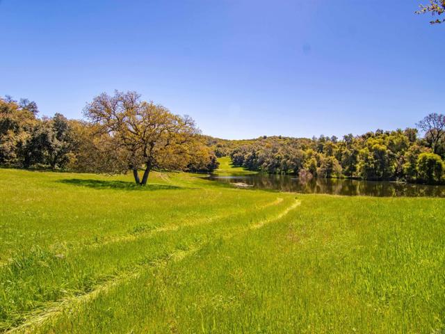Detail Gallery Image 4 of 42 For 342 Acres Mesa Grande Rd, Santa Ysabel,  CA 92070 - – Beds | – Baths
